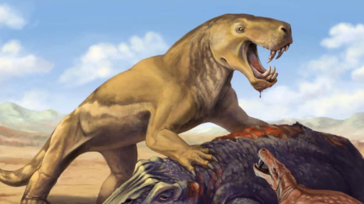 South African Fossils Reveal Ancient Beast’s Epic Journey to Oblivion
