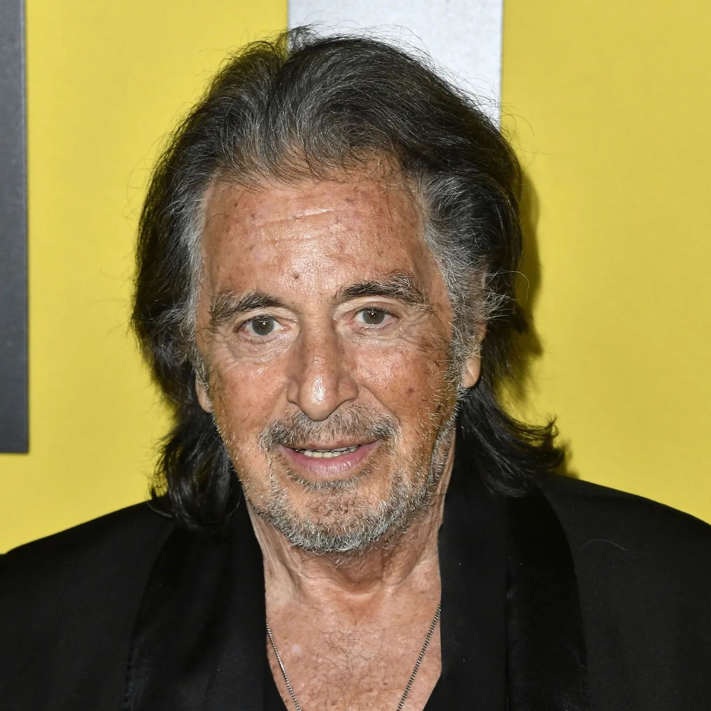 Al Pacino And Girlfriend Noor Alfallah Expecting Baby, A Look At Other ...