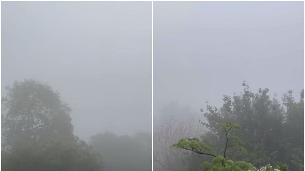 Delhi Rain: 'Fog on a May Morning', Cold Weather After Rainfall; More Showers Predicted - Vimarsana News