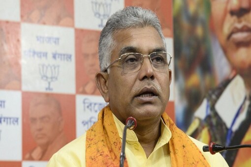 Former BJP national vice president said, When our party comes to power in West Bengal, we will remove all statues of foreigners in Kolkata (File pic/PTI)