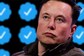 Twitter Not Paying PR Firm's Bills After Elon Musk Buyout: Report