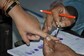 Election Commission Asks Five Poll-bound States to Update Electoral Rolls