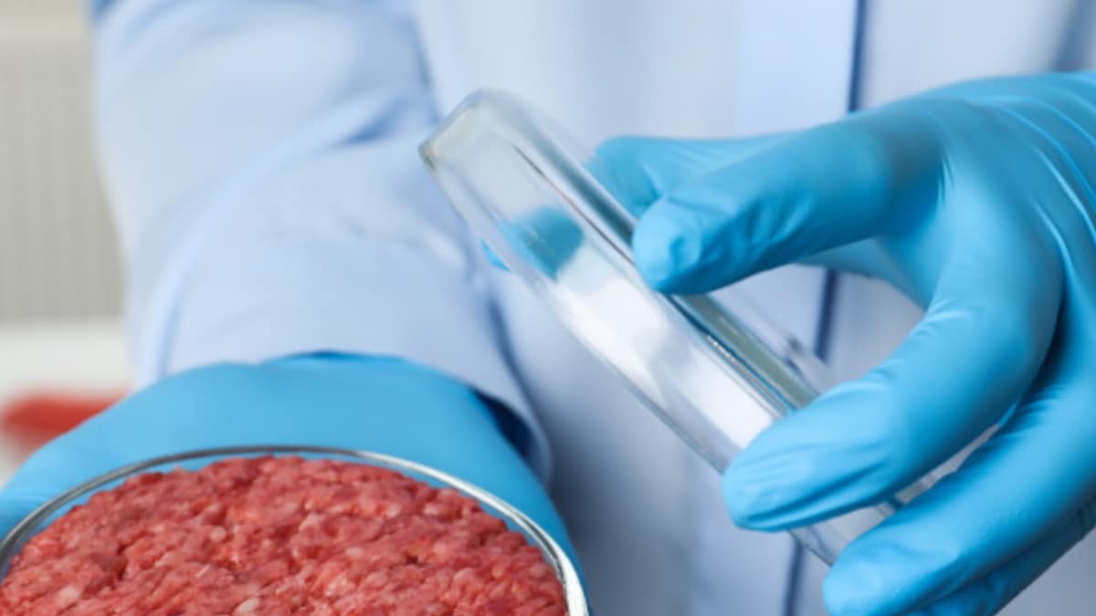 Could Labgrown Meat Actually Be Worse For the News18