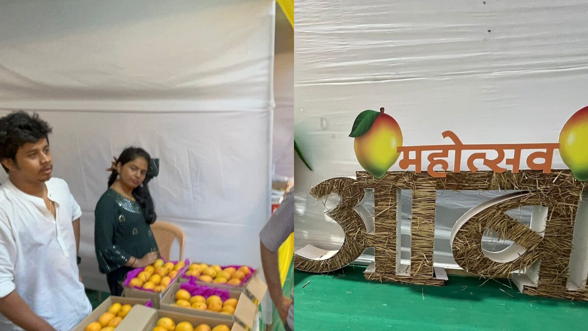 Summer 2023: Three-day Mango Festival begins in Mumbai - Vimarsana News