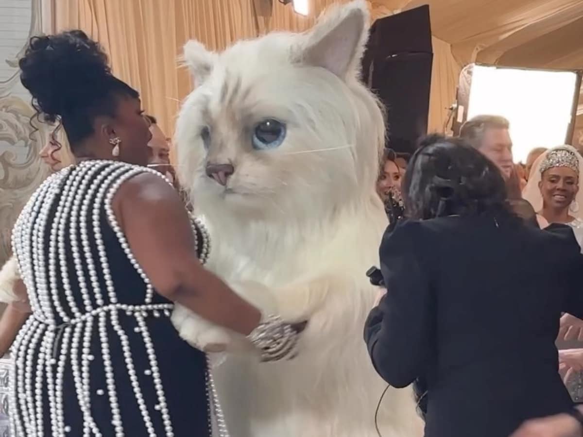 Doja Cat and Jared Leto pay homage to Karl Lagerfeld's cat Choupette at Met  Gala 2023. See pics - India Today