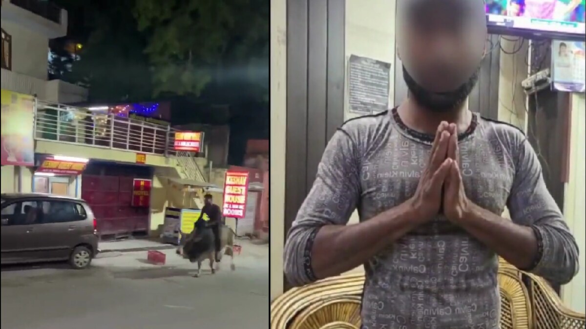 Viral Bull Rider From Uttarakhand Gets Pulled Up By Cops