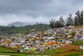 Ooty Tour Package: IRCTC's Economical Tour For One And All