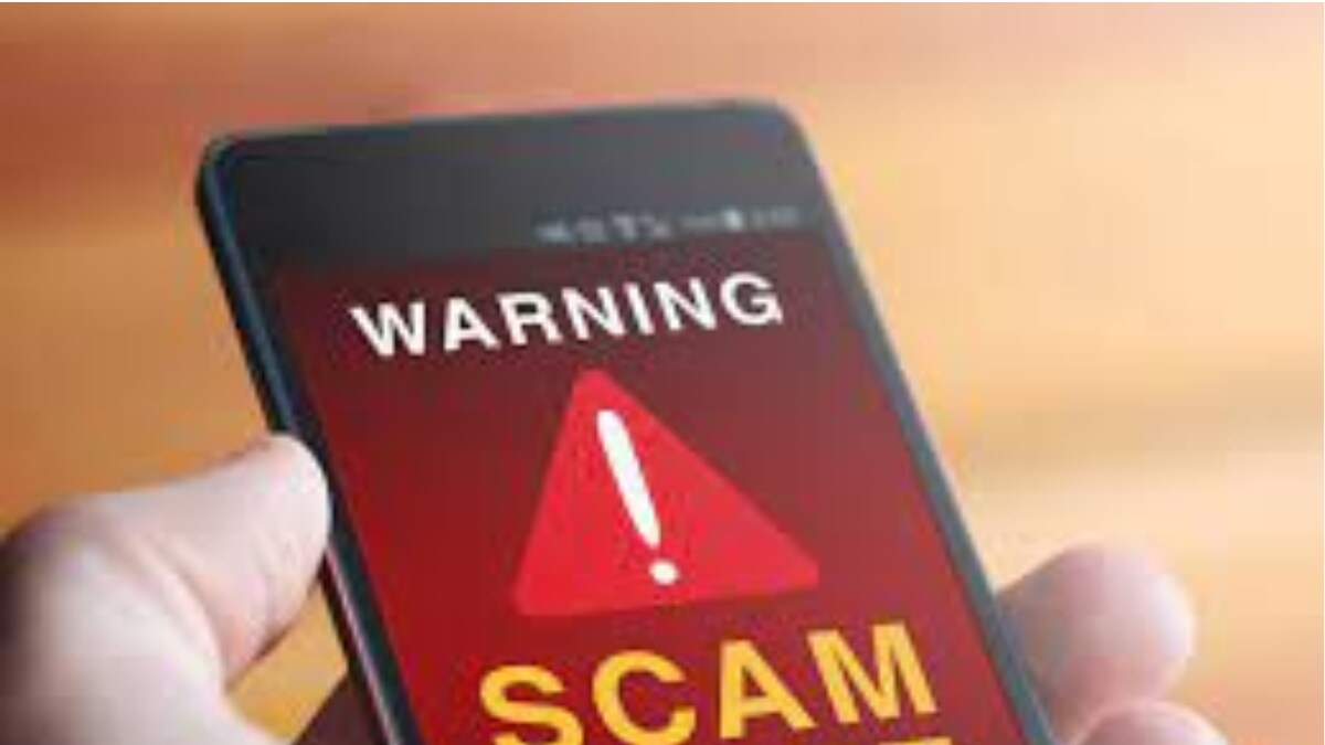'Did You Block Me?' Woman Shares How She Trolled Scammer Offering Job On WhatsApp - Vimarsana News