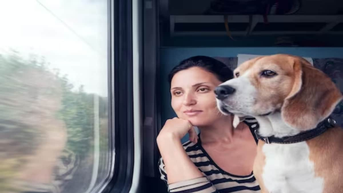 IRCTC To Soon Facilitate Online Ticket Booking For Pets - News18