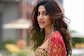 Nikki Tamboli Reveals Getting Several Item Song Offers But She Wants To Make Bollywood Debut Soon