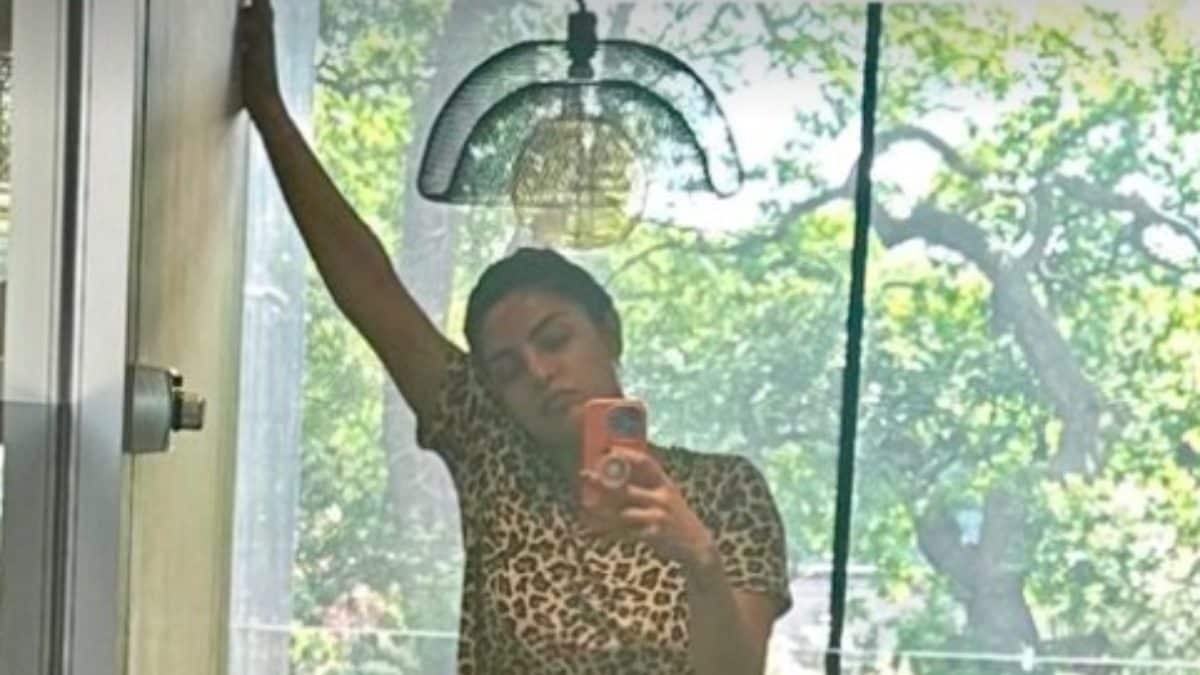 Priyanka Chopra Flaunts Her Curves In Leopard Print Outfit In Mirror Selfie, Reveals Her Sunday Mood