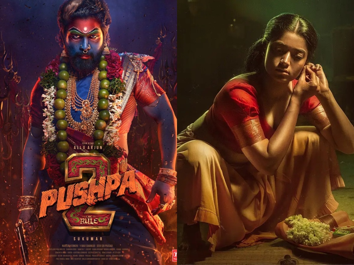 Pushpa-The Rise' box office collection Day 33: Allu Arjun-starrer earns 247  crore net worldwide | Telugu Movie News - Times of India