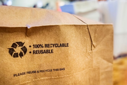 Biodegradable and Eco-Friendly Packaging: A Sustainable Solution for the Future