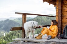 Travelling with Pets in Monsoon? 5 Tips for a Smooth and Safe Journey