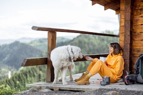 Do's and Don'ts While Choosing Nutritious Pet Food for Traveling With Your Furry Baby