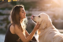 Beat the Heat: Essential Dog Grooming Tips for Summer