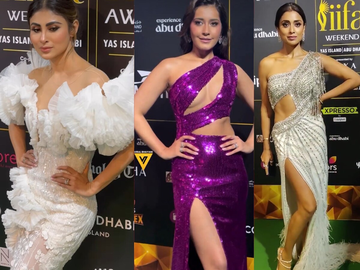 Sreya Sex Vedios - Mouni Roy, Raashii Khanna, Shriya Saran Pull Off Plunging Neckline Style In  Sexy Outfits At IIFA; Video - News18