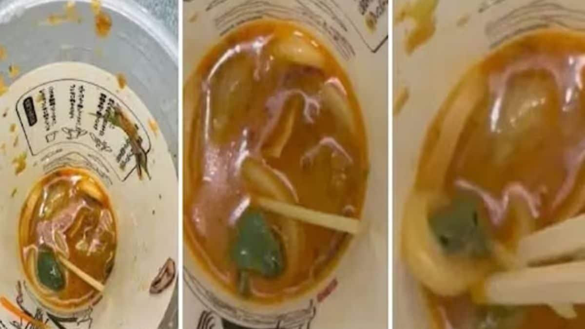 Watch: Japanese Man Finds Live Frog In His Takeaway Udon Cup After Almost Finishing It