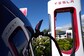 Tesla's Electric Vehicle Chargers Open to General Motors in Landmark Deal