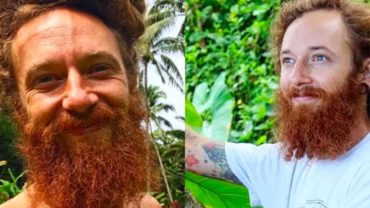 35-year-old California Leaves City Hustle To Live In Hawaii Treehouse - Vimarsana News