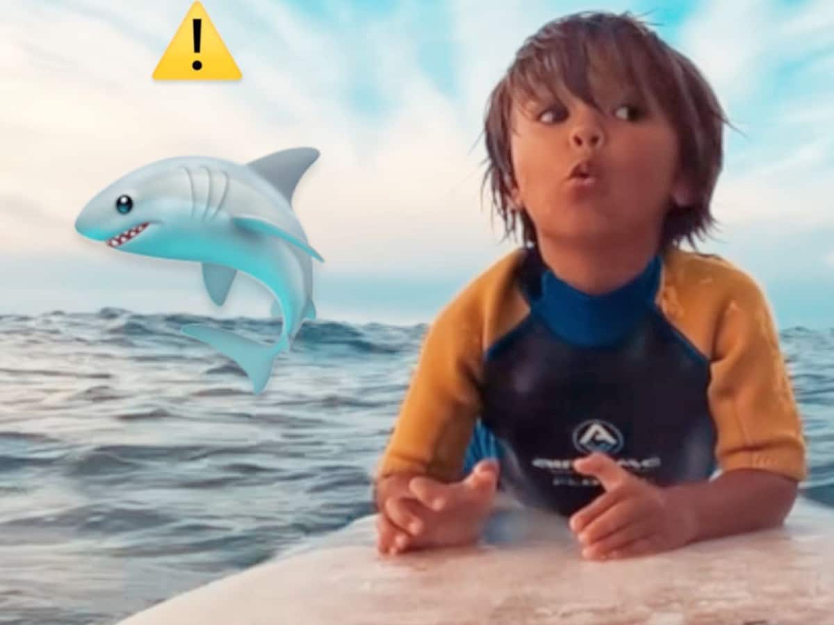 Baby Shark' Goes Viral: A Timeline