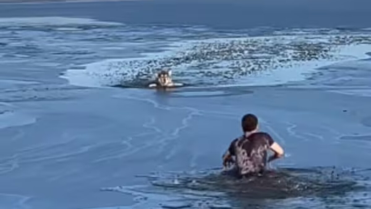 Watch US Man Jumps Into Frozen Lake To Rescue Dog, Is