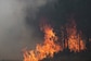 Canada Wildfires: Over 2.7 Million Hectares Burned, Eight Times Higher Than Average