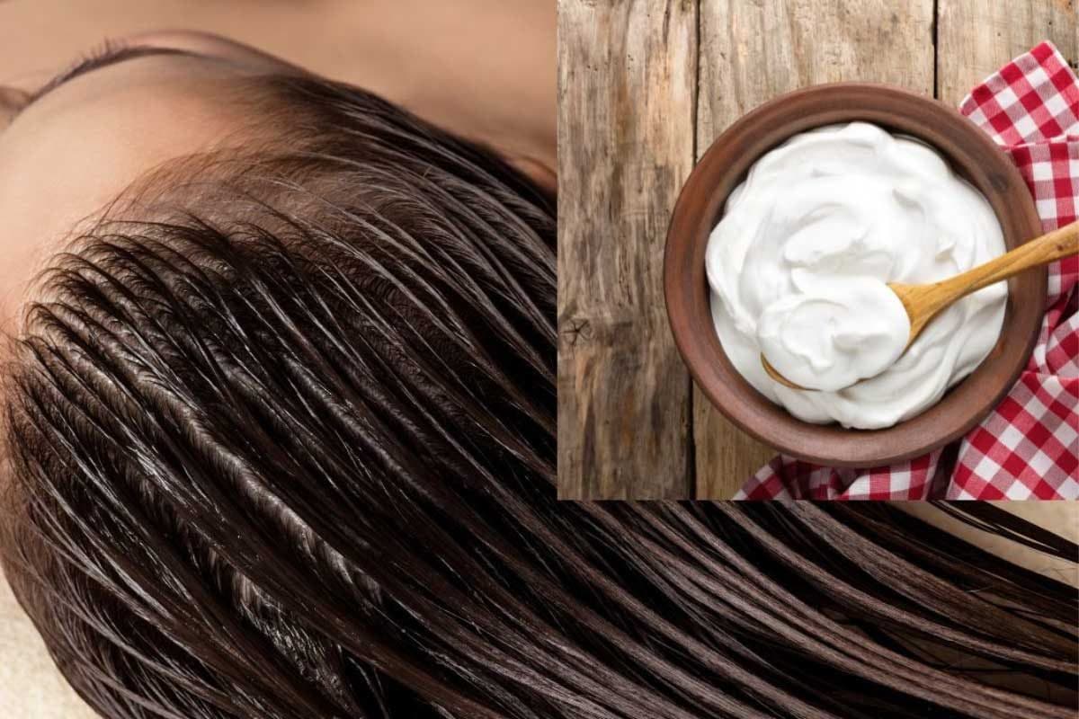 5 Ways To Use Yogurt To Treat Dry Hair  lifeberryscom