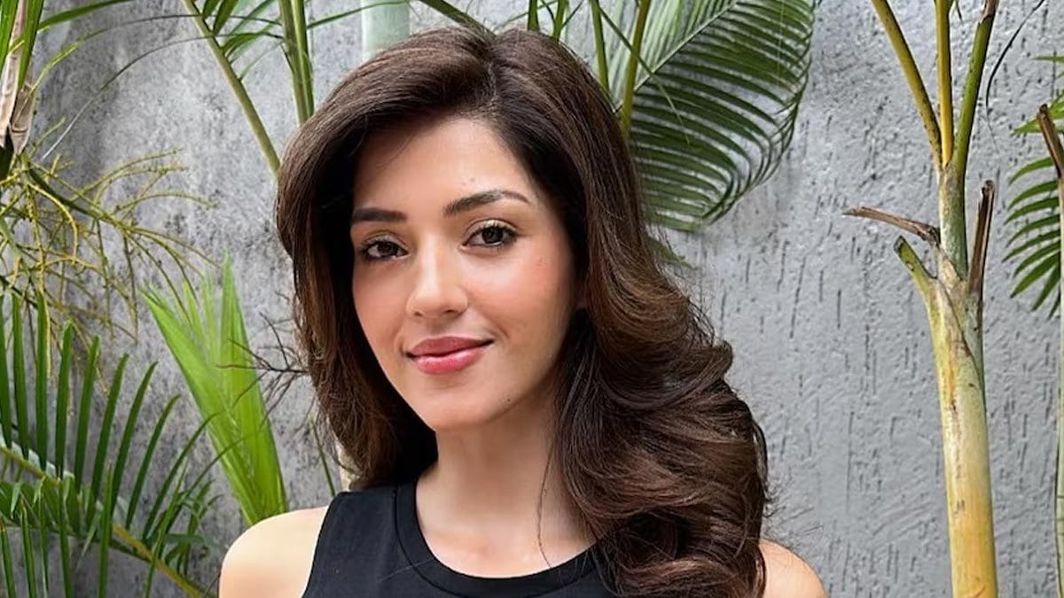 Actress Mehreen Pirzada Looks Stunning In Black Crop Top, See Pics 