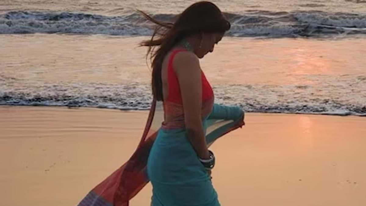 Actress Manasi Naik Shares Inspirational Note, Says 'I Will Not Give Up' - Vimarsana News
