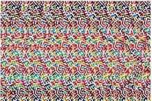 Put Your Visual Skills To The Test: Find The Hidden Image