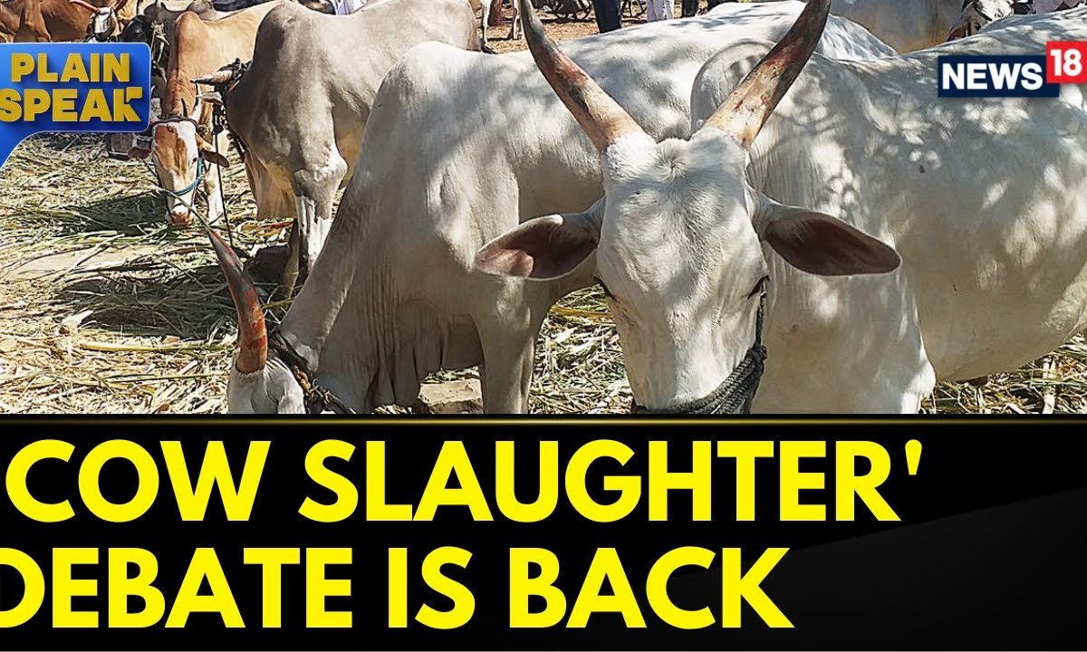 Cow Slaughter Bill Karnataka: Congress Vs BJP Over Animal Husbandry ...