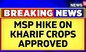 Piyush Goyal On Kharif Crops | Cabinet Briefing | Cabinet Approves MSP Hike For Kharif Crops