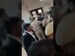 Gangster Sanjeev Jiva, Close Aide of Mukhtar Ansari, Shot Dead Inside Lucknow Court | #viral #shorts
