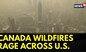 Canada Wildfire: Pollution At Record Level | New York Pollution Remains Hazardous | English News