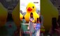 Hong Kong: Giant Rubber Ducks Afloat In Victoria Harbour, WATCH | #Shorts | Viral Video | News18