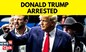 Donald Trump Under Arrest | Donald Trump Pleads Not Guilty To Mishandling Government Secrets