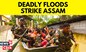 Assam Flood 2023 News | Nearly Half A Million Impacted By Flooding In Assam | English News | News18