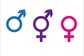 Collaborating for Change: Partnerships between Government, NGOs, and the LGBTQ+ Community to Drive Toilet Inclusivity Initiatives