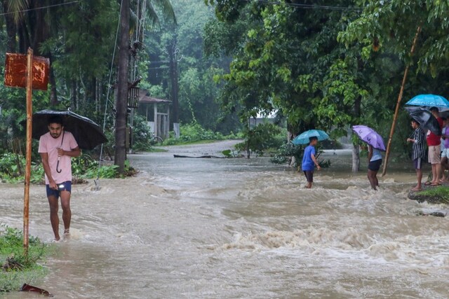 Chandigarh Sees Highest Rainfall in 23 Years, Trees Uprooted and ...