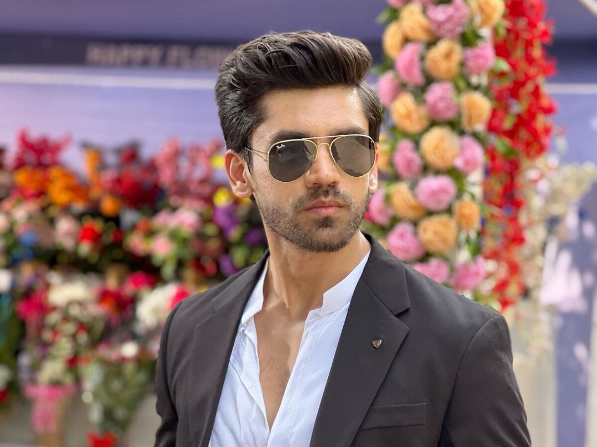 Avinash mishra serials