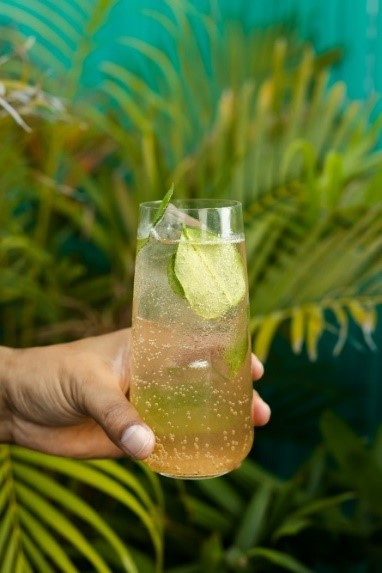 World Environment Day: 5 Sustainable Cocktail Recipes