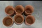 Bengal Vendor Sells Tea In Edible Cups That Taste Like Chocolate Biscuits | In Pics