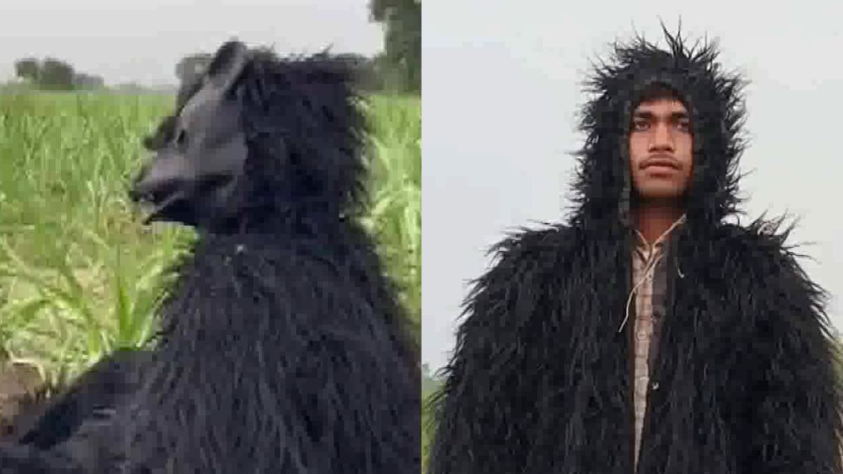 UP Farmers Wear 'Bear Costume' to Protect Crops From Monkeys, Pics Go Viral - Vimarsana News