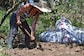 Planet-friendly Farming Takes Root in Drought-hit Tunisia