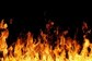 20 Newborns Rescued After Fire Breaks Out at Delhi Hospital
