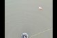Karnataka Businessman Dies by Suicide, Ties Balloon to His Body Before Jumping Off Bridge
