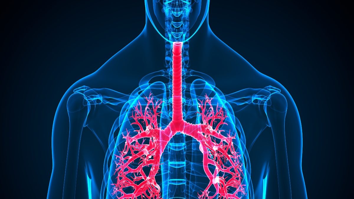 Lung Cancer Awareness Month: When and Who Should Consider Lung Cancer ...