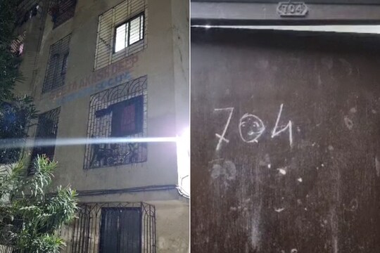 Mira Road Murder: Man Kills Live-in Partner Near Mumbai; 'Boiled Cut-Up Body Parts', Some 'Fed to Strays'