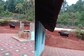 Watch: Woman In Udupi Offers Water, Food To Bison Spotted Near Her Home